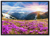 Berge mit Regenbogen auf Leinwandbild gerahmt Größe 100x70