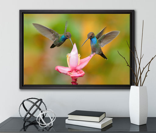 Zwei Kolibris in den Tropen auf Leinwandbild gerahmt mit Kirschblüten