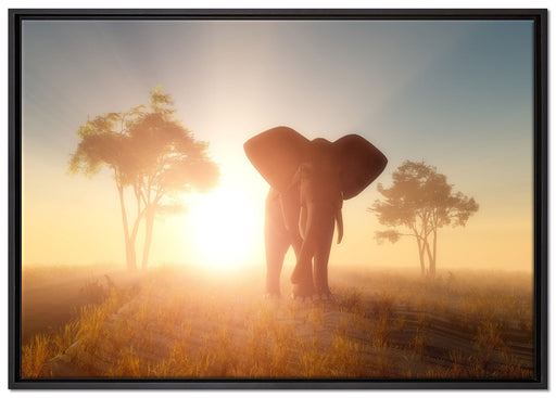 Elefant in der Wüste auf Leinwandbild gerahmt Größe 100x70