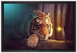 Eine Frau und ein Riesen-Tiger auf Leinwandbild gerahmt Größe 60x40