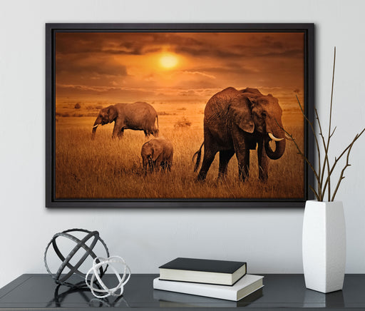 Elefanten in der Savanne auf Leinwandbild gerahmt mit Kirschblüten
