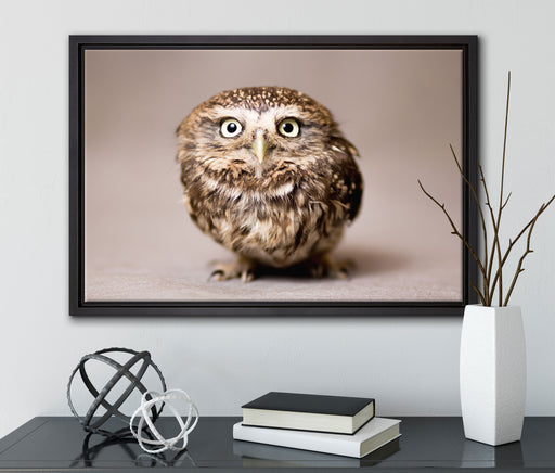 Nachteule mit Blick auf Leinwandbild gerahmt mit Kirschblüten