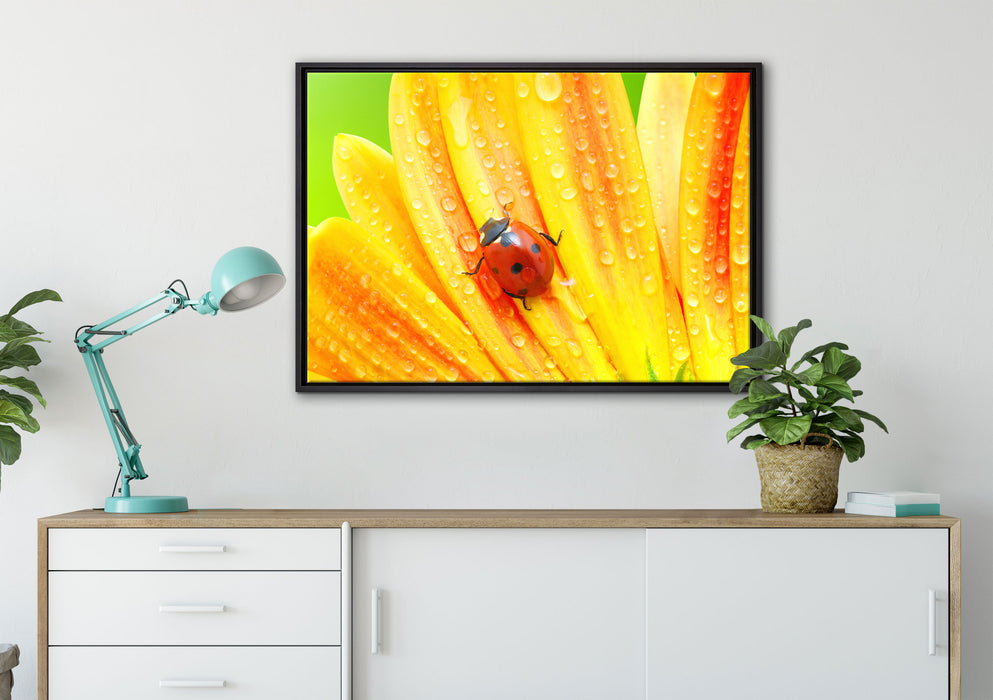 Marienkäfer auf gelber Blume auf Leinwandbild gerahmt verschiedene Größen im Wohnzimmer