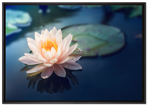 Eine rosa Lotusblume in Teich auf Leinwandbild gerahmt Größe 100x70
