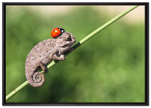 Süßer Gecko mit einem Marienkäfer auf Leinwandbild gerahmt Größe 100x70
