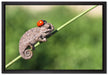 Süßer Gecko mit einem Marienkäfer auf Leinwandbild gerahmt Größe 60x40