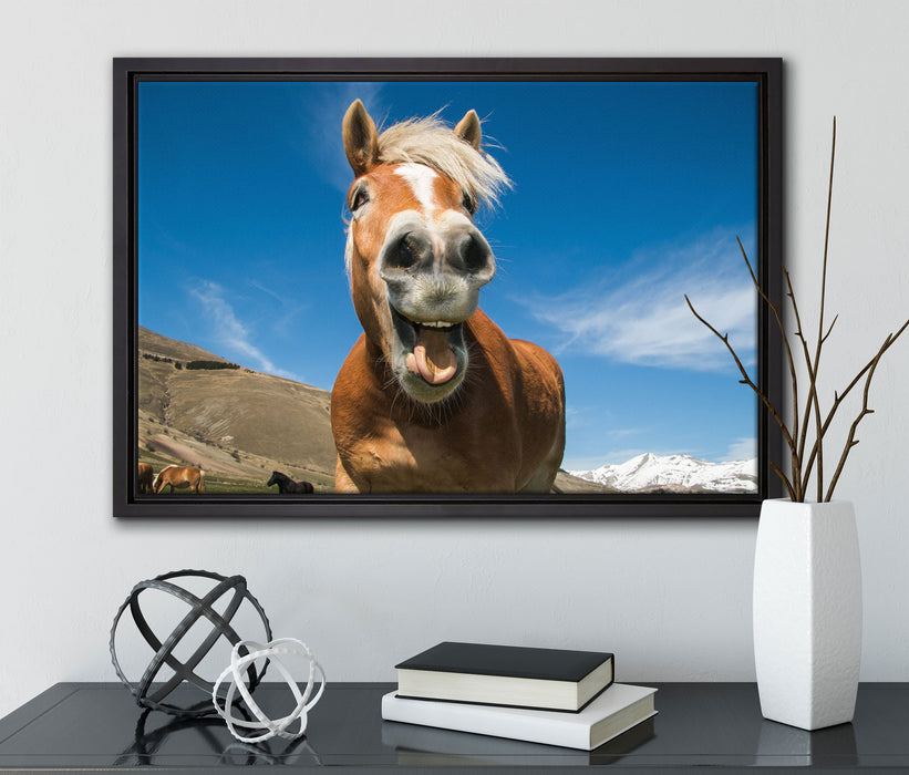 Lustiges Pferd in der Natur auf Leinwandbild gerahmt mit Kirschblüten