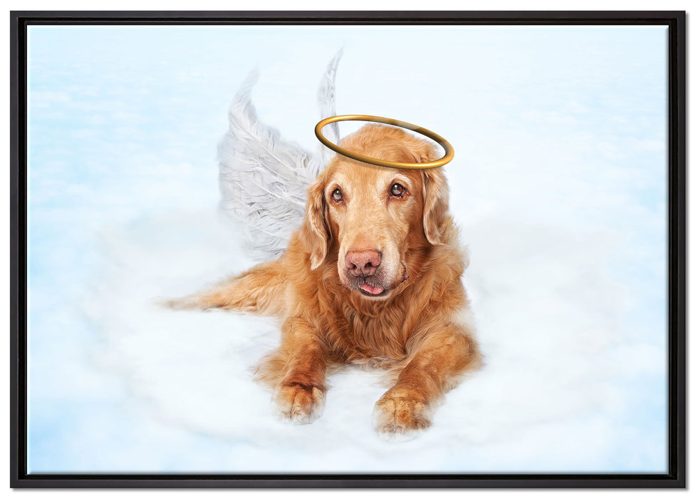 Hundeengel auf Wolke# auf Leinwandbild gerahmt Größe 100x70