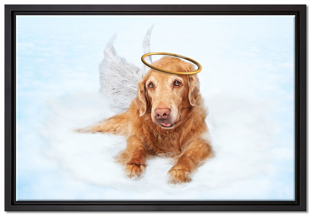 Hundeengel auf Wolke# auf Leinwandbild gerahmt Größe 60x40