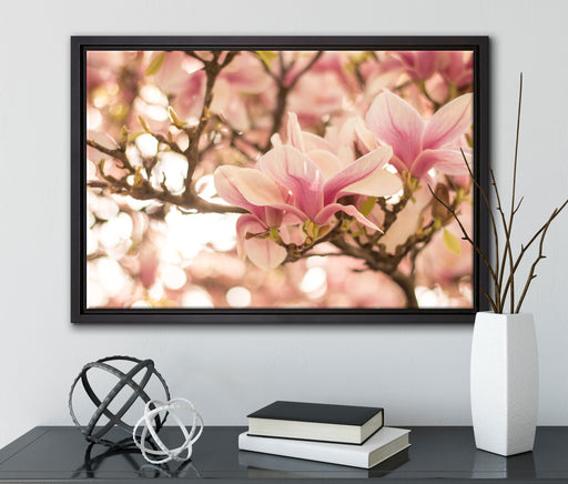Rosa Magnolienblüten im Frühling auf Leinwandbild gerahmt mit Kirschblüten
