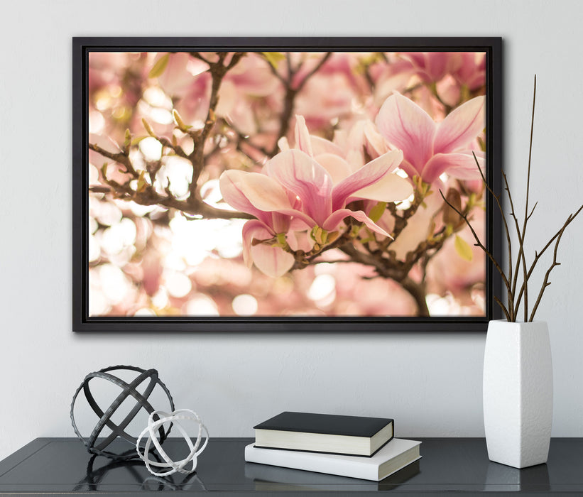 Rosa Magnolienblüten im Frühling auf Leinwandbild gerahmt mit Kirschblüten