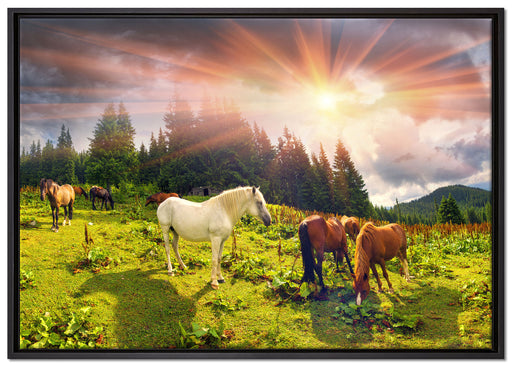 Mustangs Pferde auf den Bergen auf Leinwandbild gerahmt Größe 100x70