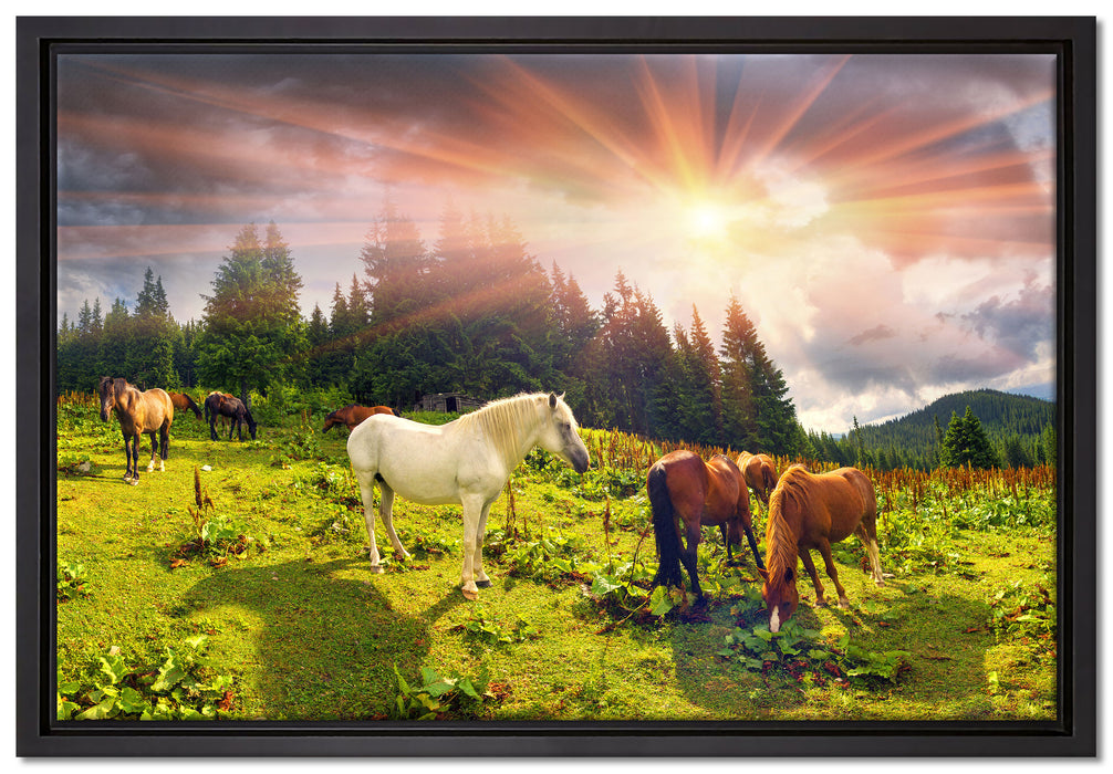 Mustangs Pferde auf den Bergen auf Leinwandbild gerahmt Größe 60x40