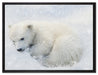 Eisbär im Schnee auf Leinwandbild gerahmt Größe 80x60