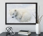 Eisbär im Schnee auf Leinwandbild gerahmt mit Kirschblüten