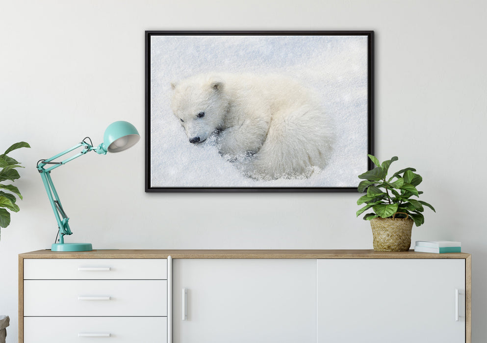 Eisbär im Schnee auf Leinwandbild gerahmt verschiedene Größen im Wohnzimmer