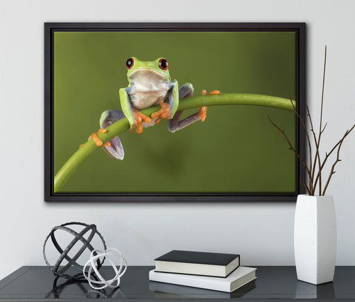 Baum-Frosch auf Bambus auf Leinwandbild gerahmt mit Kirschblüten