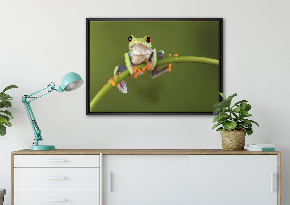 Baum-Frosch auf Bambus auf Leinwandbild gerahmt verschiedene Größen im Wohnzimmer