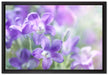 Lilane Lavendelblumen auf Leinwandbild gerahmt Größe 60x40