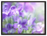 Lilane Lavendelblumen auf Leinwandbild gerahmt Größe 80x60