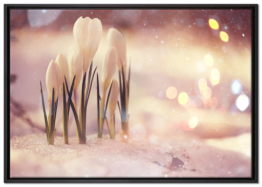 Schneeglöckchen im Frühjahr auf Leinwandbild gerahmt Größe 100x70
