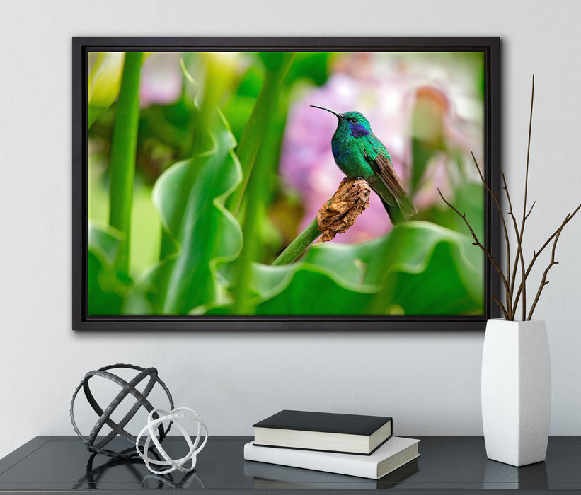 Kolibri in seinem Lebensraum auf Leinwandbild gerahmt mit Kirschblüten