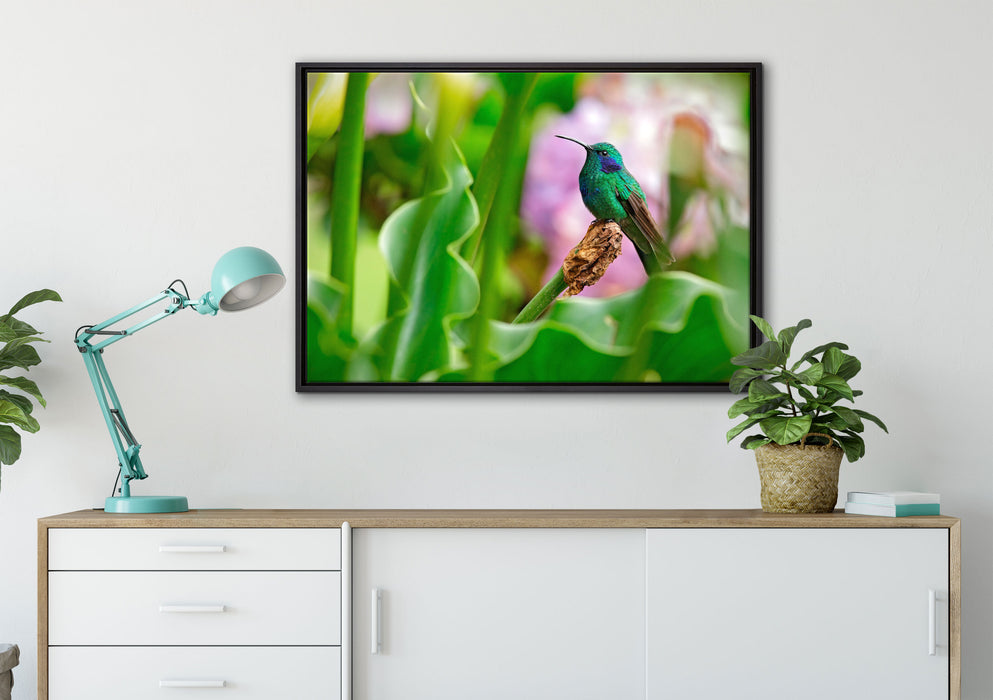 Kolibri in seinem Lebensraum auf Leinwandbild gerahmt verschiedene Größen im Wohnzimmer