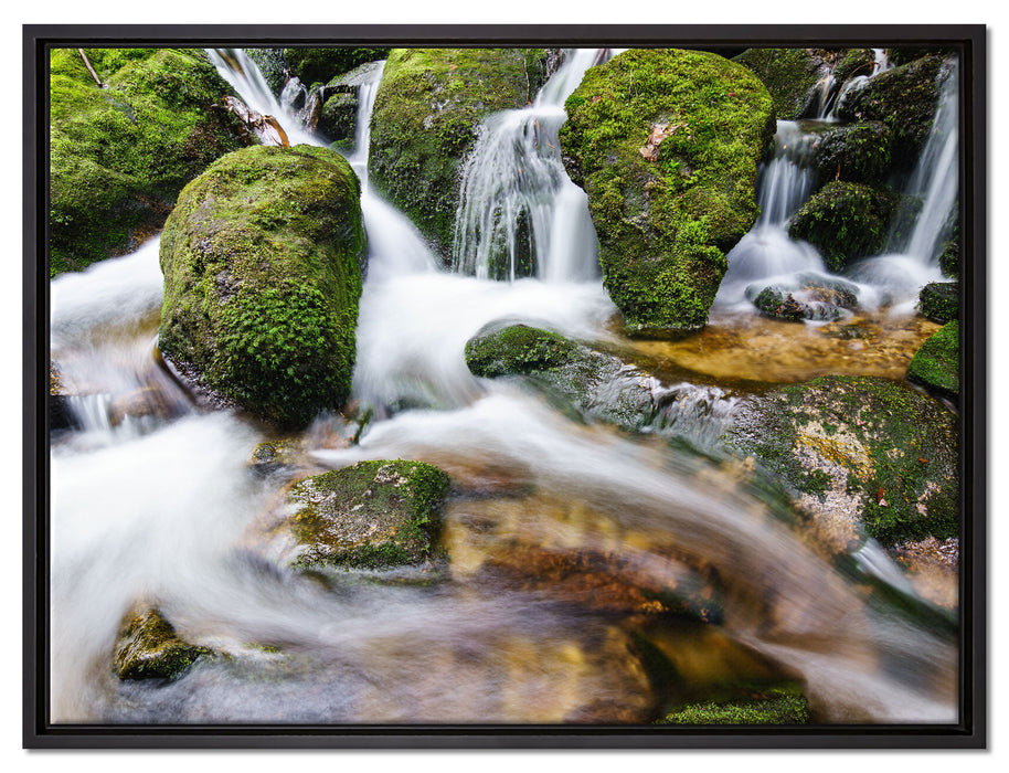 Gertelbach im Schwarzwald auf Leinwandbild gerahmt Größe 80x60
