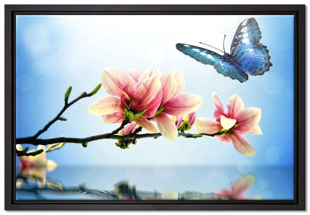 Schmetterling mit Magnolien-Blüte auf Leinwandbild gerahmt Größe 60x40