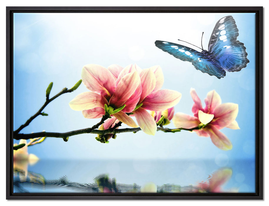 Schmetterling mit Magnolien-Blüte auf Leinwandbild gerahmt Größe 80x60