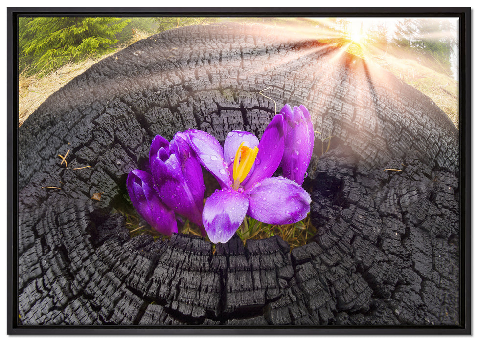 Die Kraft der Natur auf Leinwandbild gerahmt Größe 100x70