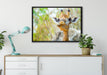 Giraffe in der Natur auf Leinwandbild gerahmt verschiedene Größen im Wohnzimmer