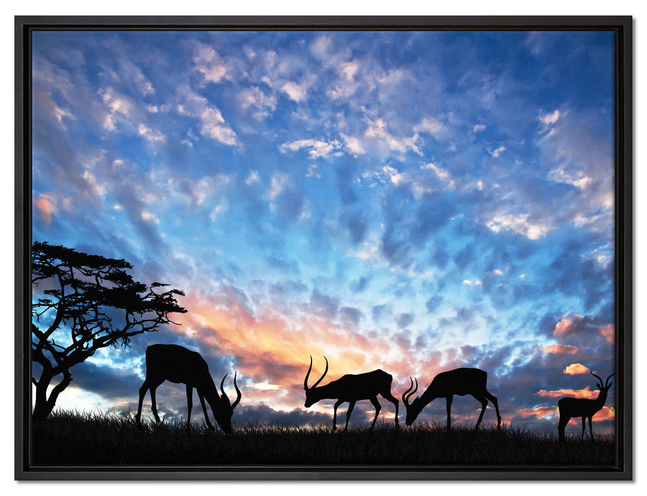 Tiere in der Natur am Abend auf Leinwandbild gerahmt Größe 80x60