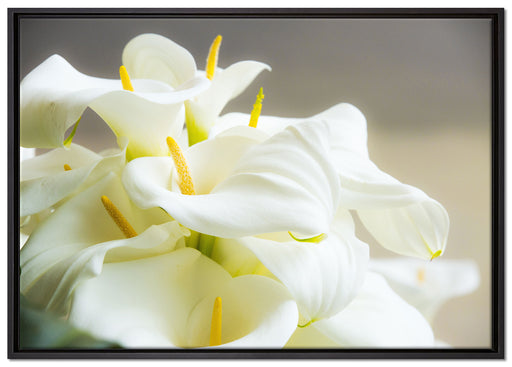 Wunderschöne weiße Calla Lilien auf Leinwandbild gerahmt Größe 100x70