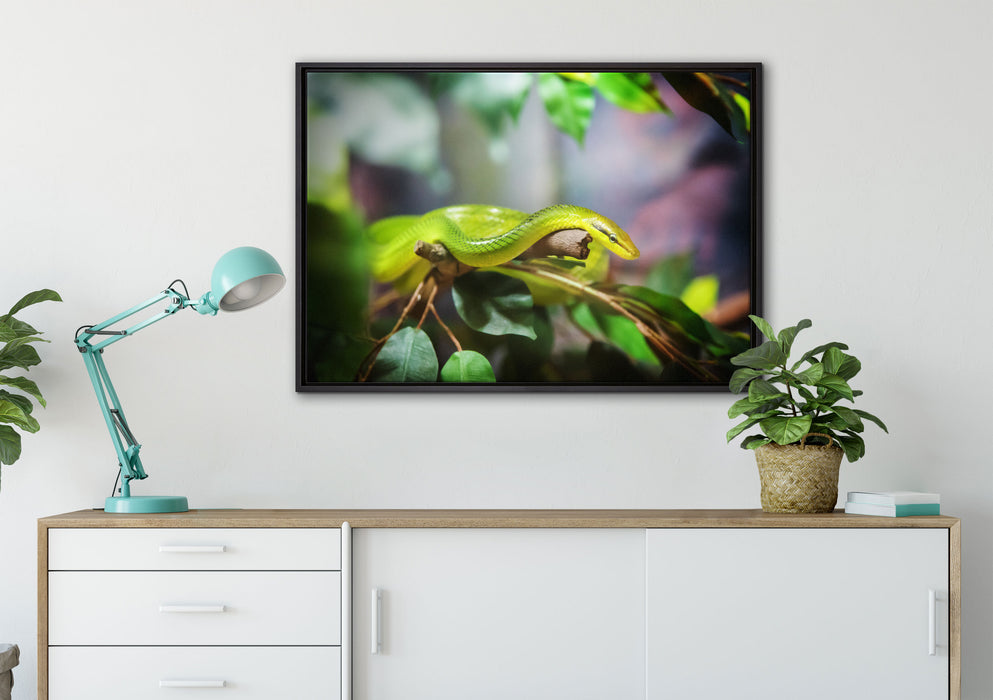 Raue grüne Schlange auf Leinwandbild gerahmt verschiedene Größen im Wohnzimmer
