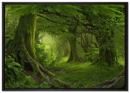 Dschungel im Regenwald auf Leinwandbild gerahmt Größe 100x70