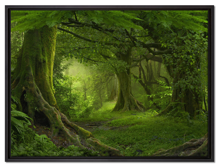 Dschungel im Regenwald auf Leinwandbild gerahmt Größe 80x60