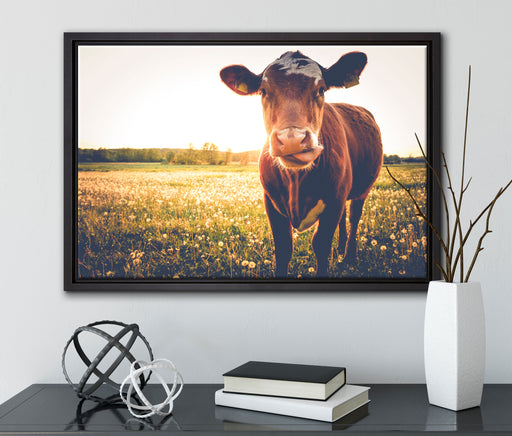 Kuh auf Butterblumenwiese auf Leinwandbild gerahmt mit Kirschblüten