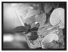 Erfrischender Mojito Cocktail auf Leinwandbild gerahmt Größe 80x60