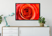 Detaillierte rote Rosenblüte auf Leinwandbild gerahmt verschiedene Größen im Wohnzimmer