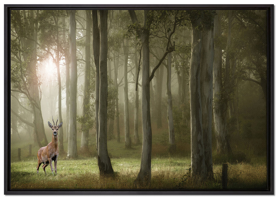 Hirsch im Wald auf Leinwandbild gerahmt Größe 100x70