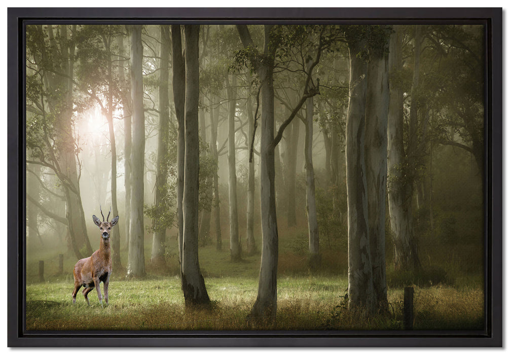 Hirsch im Wald auf Leinwandbild gerahmt Größe 60x40