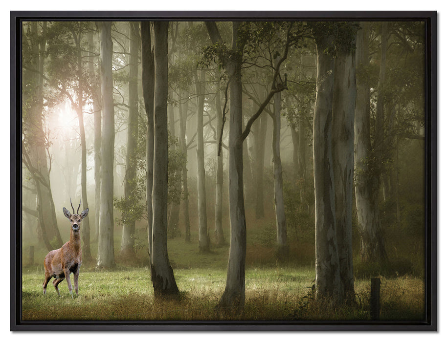 Hirsch im Wald auf Leinwandbild gerahmt Größe 80x60