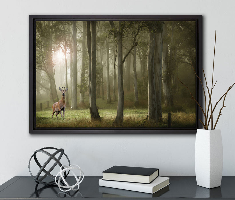 Hirsch im Wald auf Leinwandbild gerahmt mit Kirschblüten
