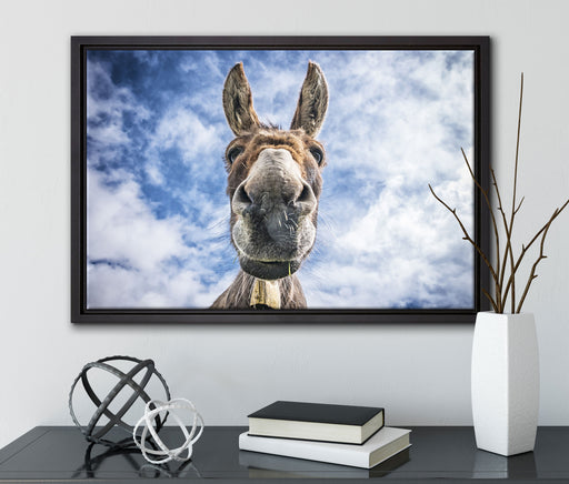 Lustiger Esel auf Leinwandbild gerahmt mit Kirschblüten