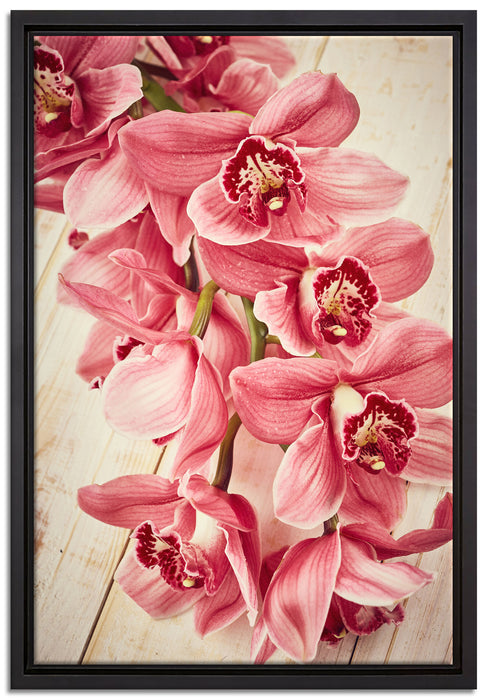 Rosane Orchideenblüten auf Leinwandbild gerahmt Größe 60x40