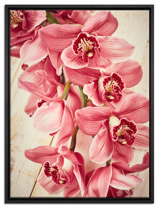 Rosane Orchideenblüten auf Leinwandbild gerahmt Größe 80x60