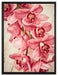 Rosane Orchideenblüten auf Leinwandbild gerahmt Größe 80x60