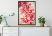 Rosane Orchideenblüten auf Leinwandbild gerahmt verschiedene Größen im Wohnzimmer