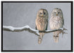 Zwei Eulen in Winterlandschaft auf Leinwandbild gerahmt Größe 100x70